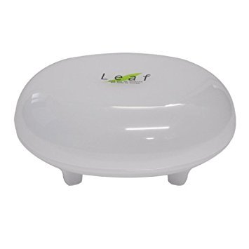 Natural Leaf Soap Container